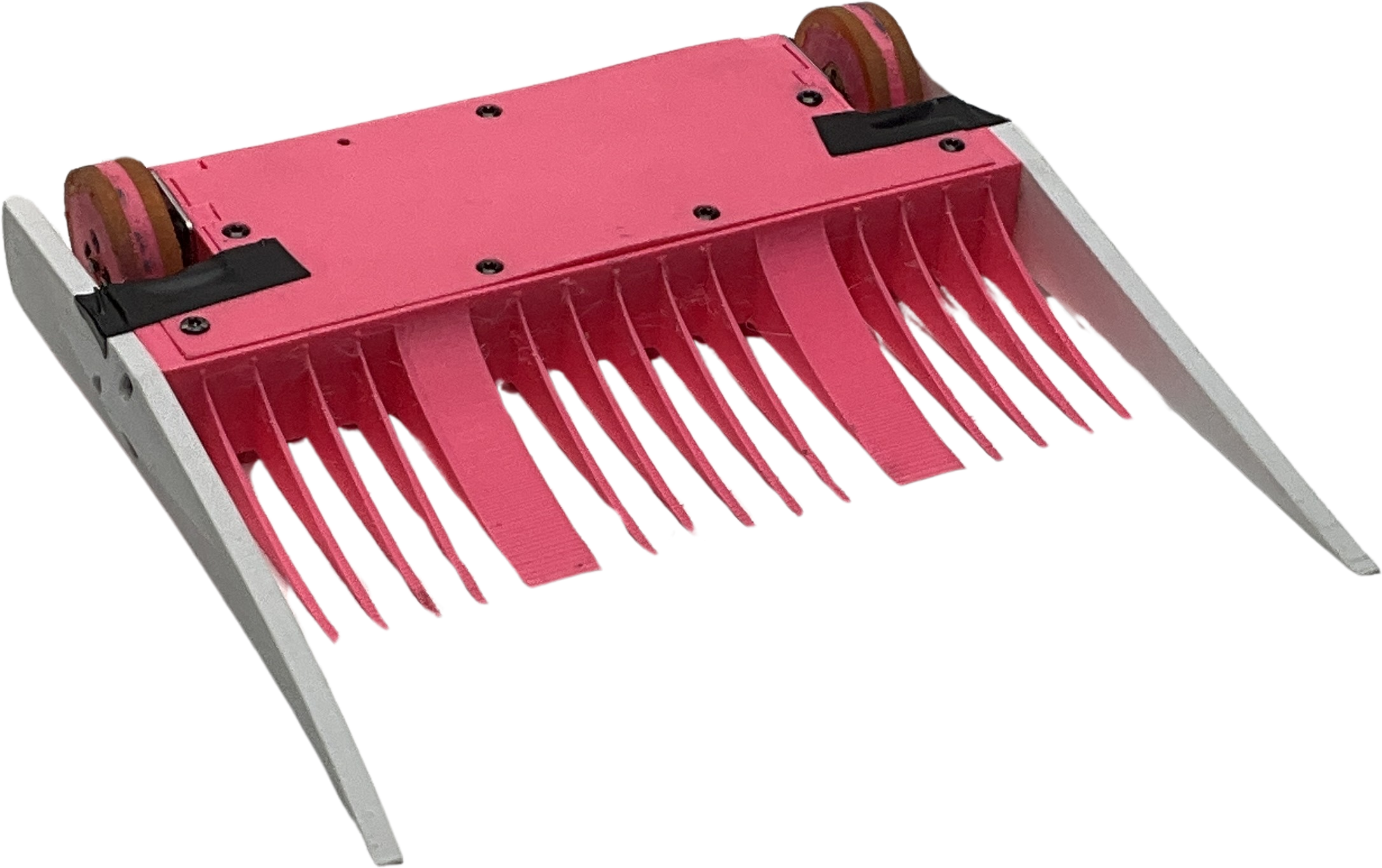 Flamingo (Ant)