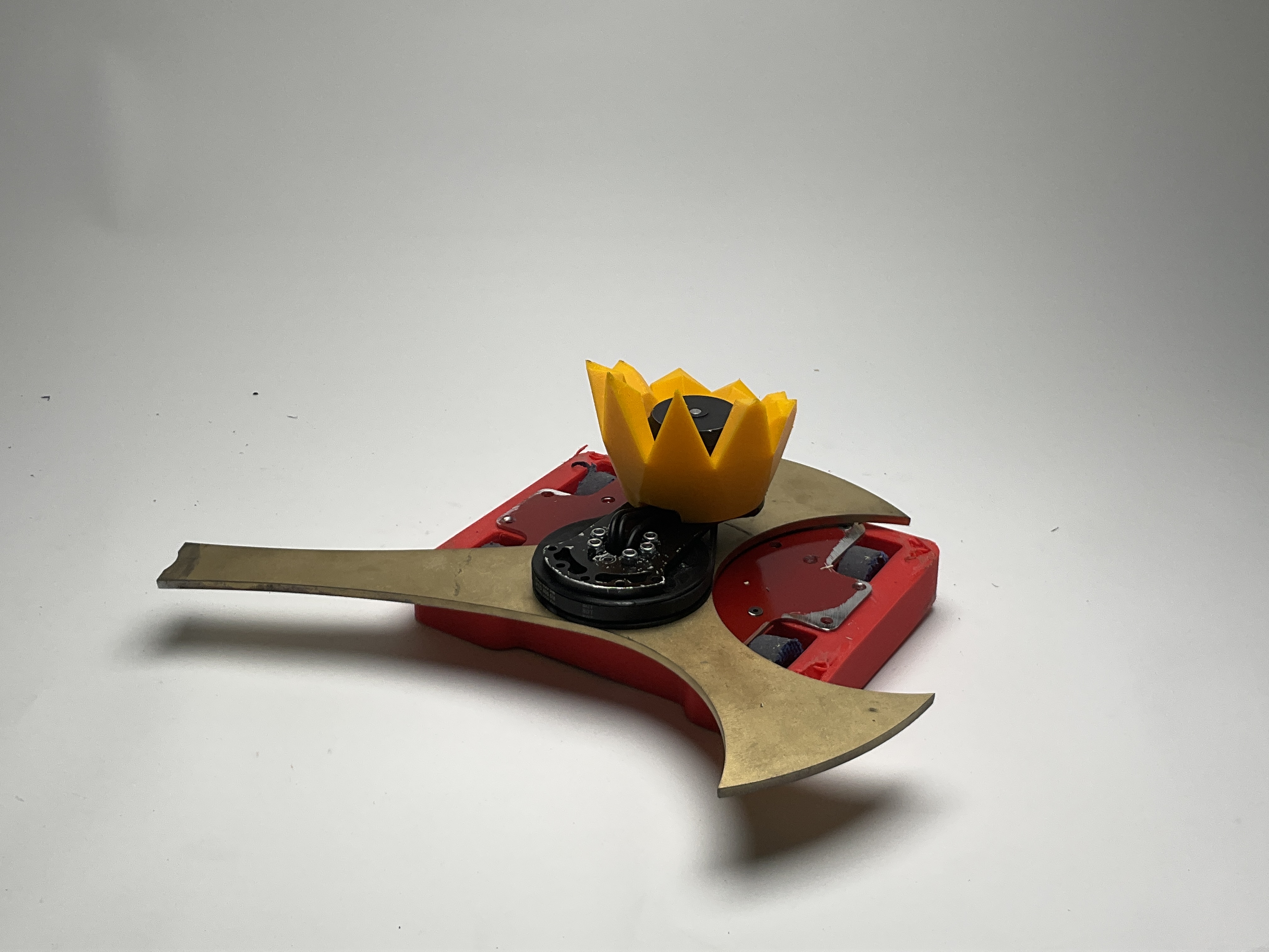 22" of Monarchy — entry photo, Jun 6, 2025