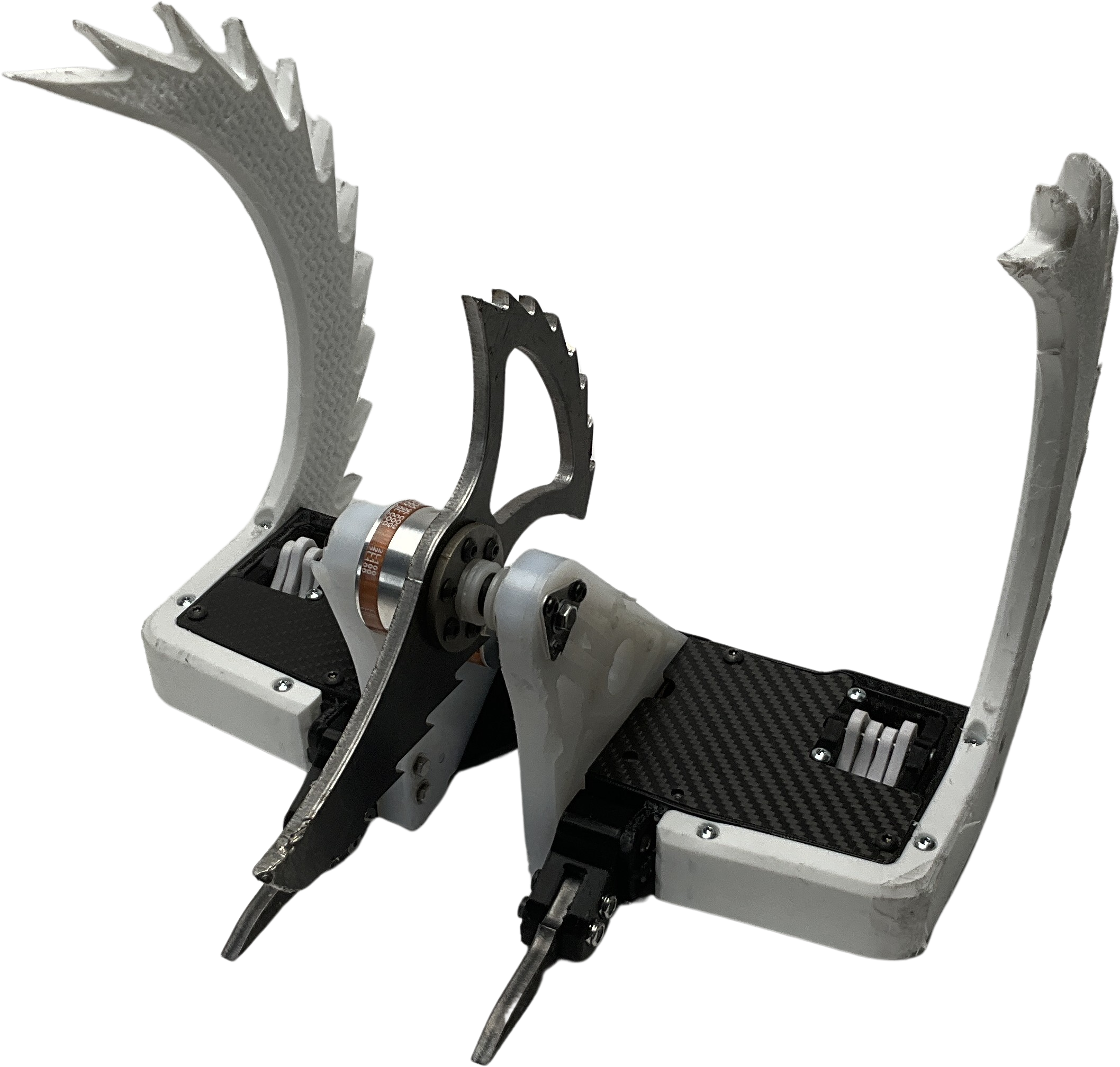 Chaos Upright