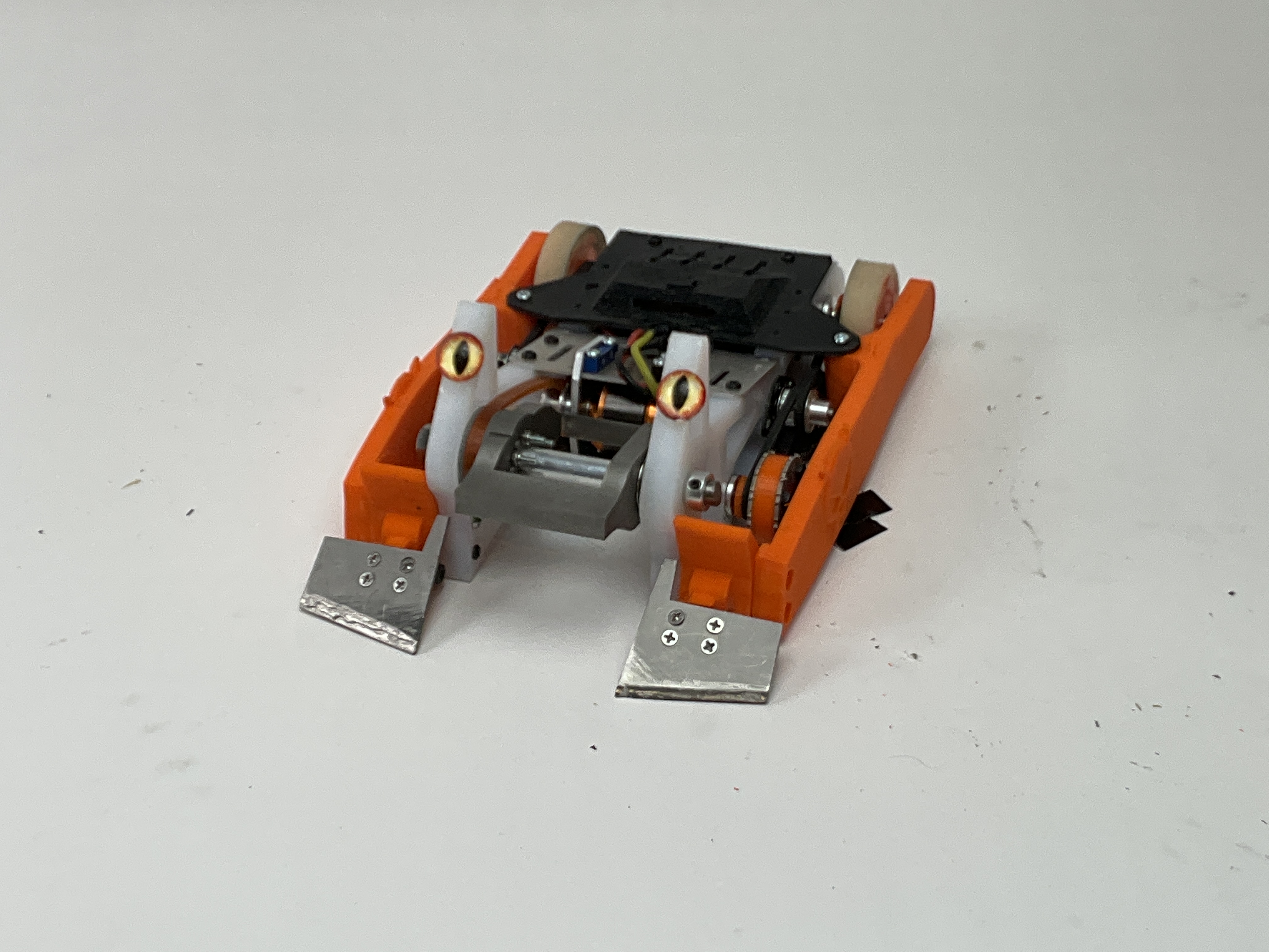 Chip 2.0 — entry photo, Jun 21, 2024
