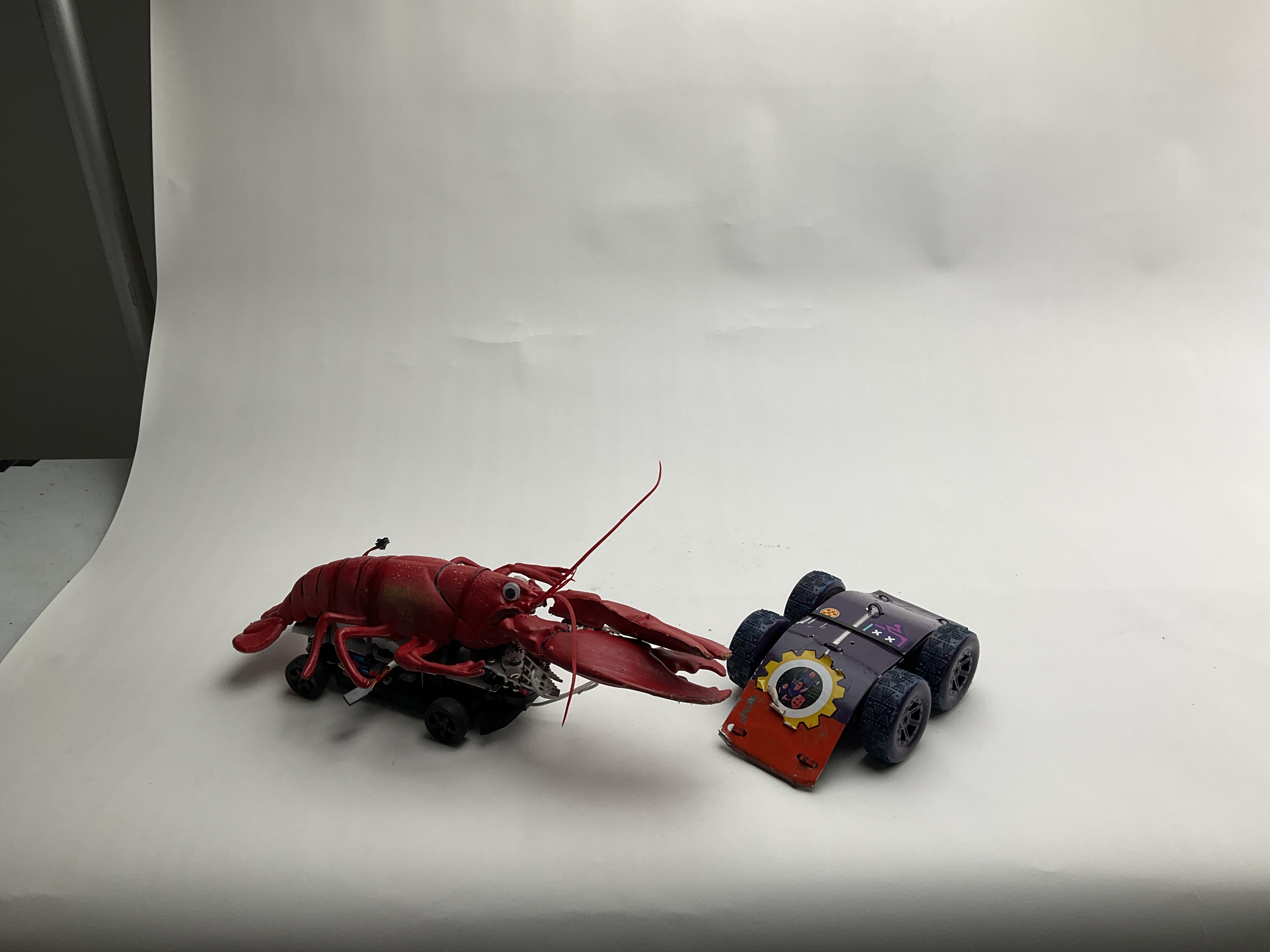 Claws of Fury — entry photo, Sep 13, 2024