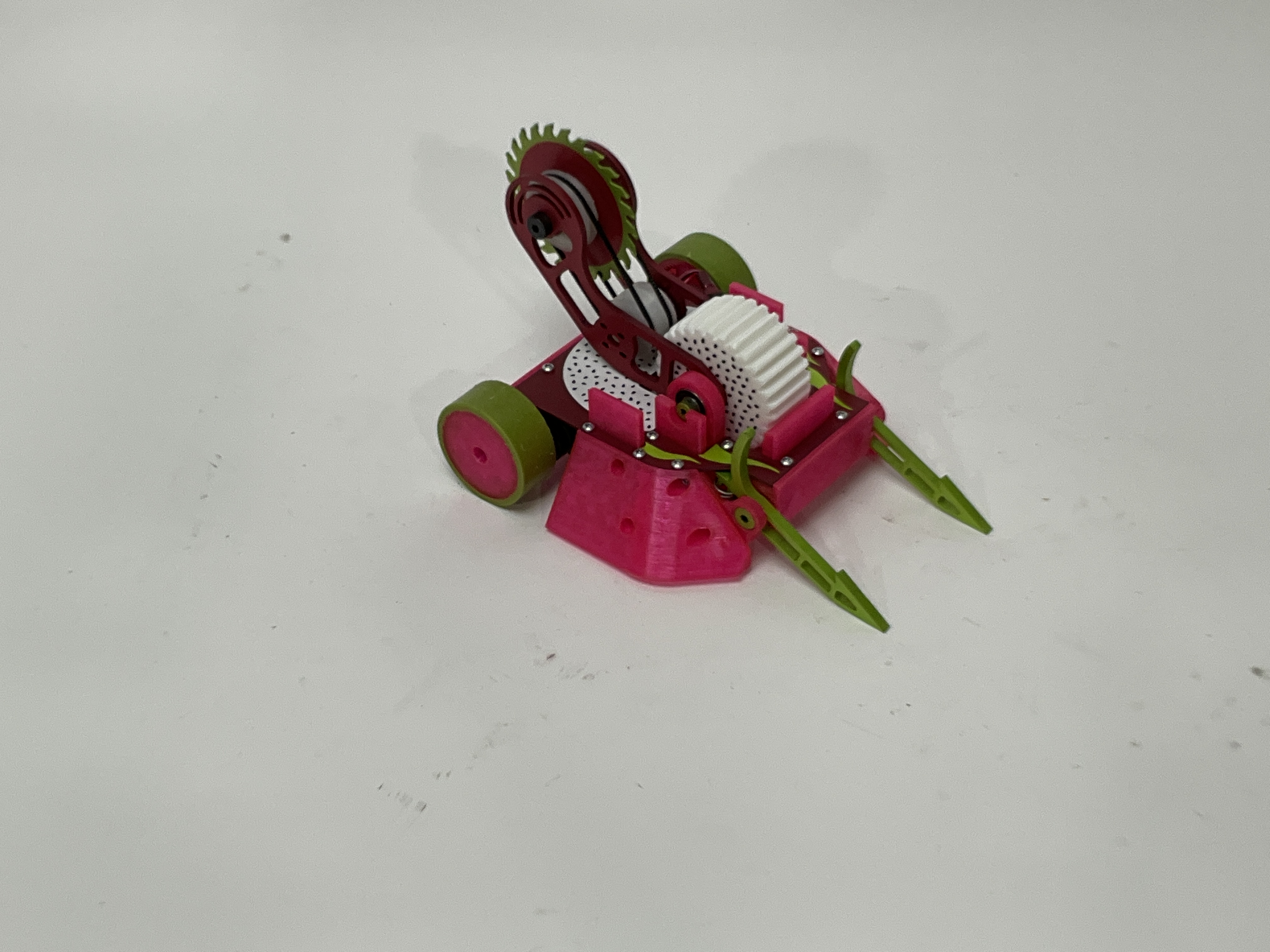 Dragonfruit — entry photo, Aug 12, 2023