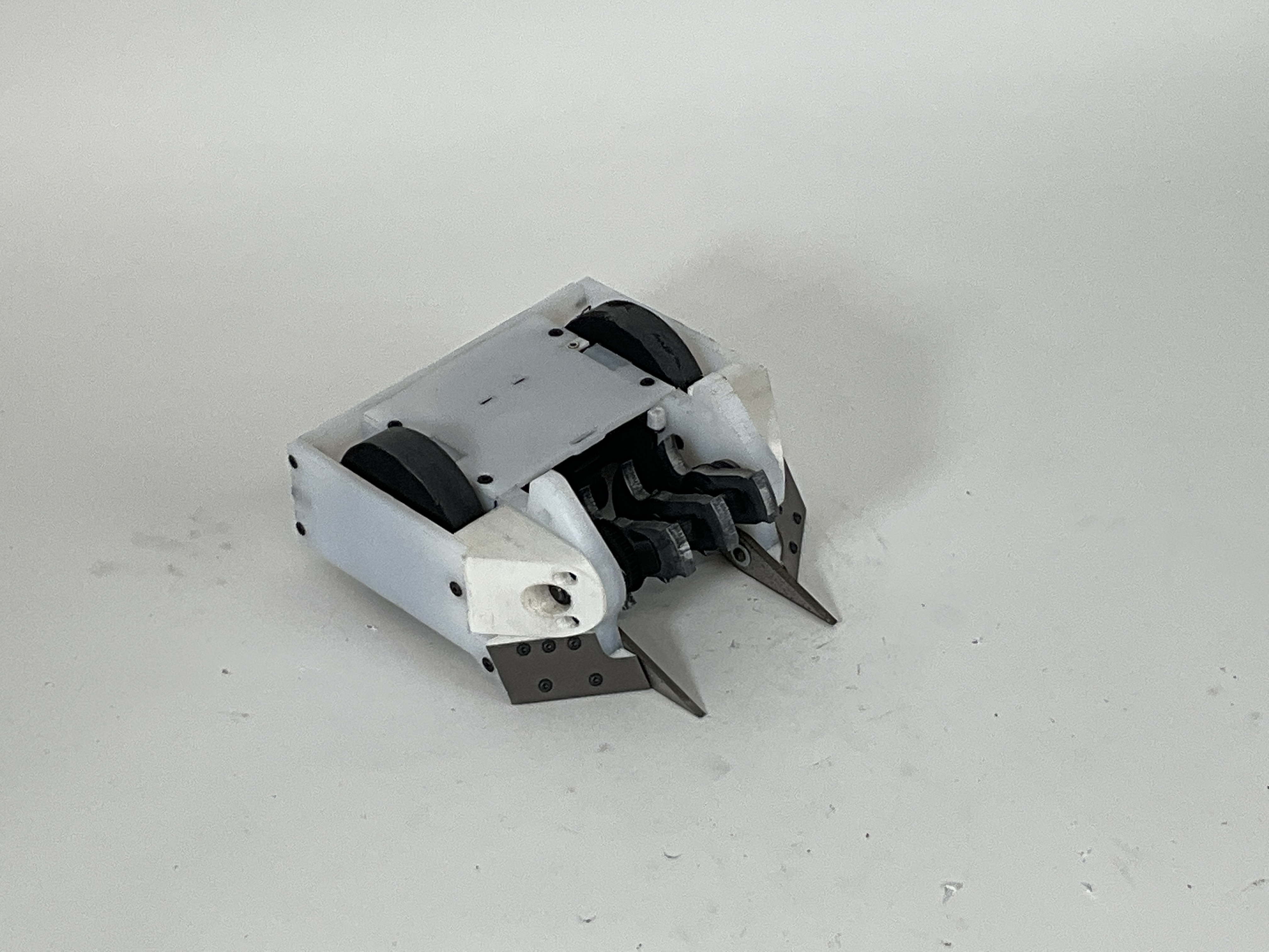 Epsilon — entry photo, Jun 25, 2023