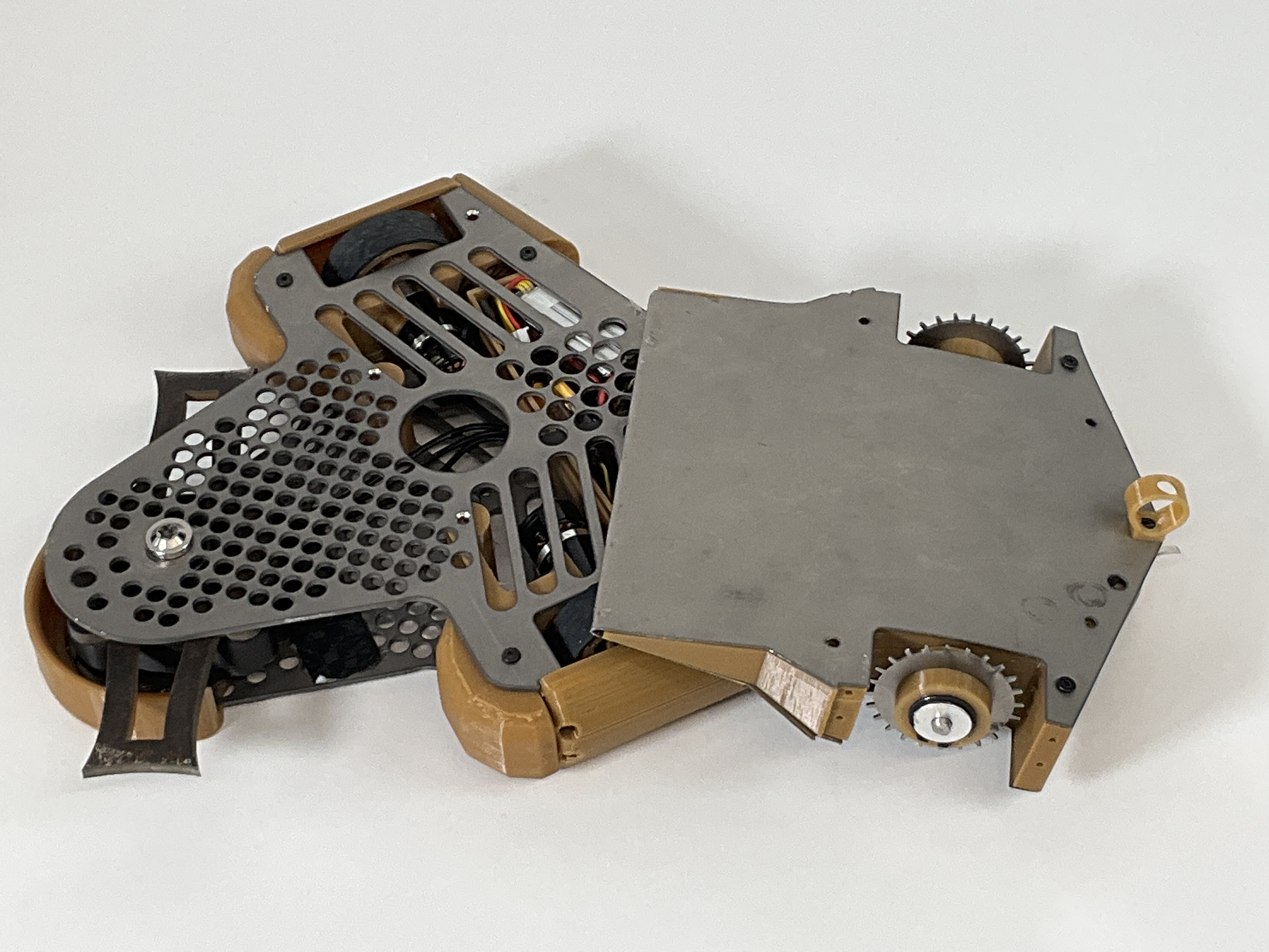 ER Stingray 2 — entry photo, Jun 24, 2023
