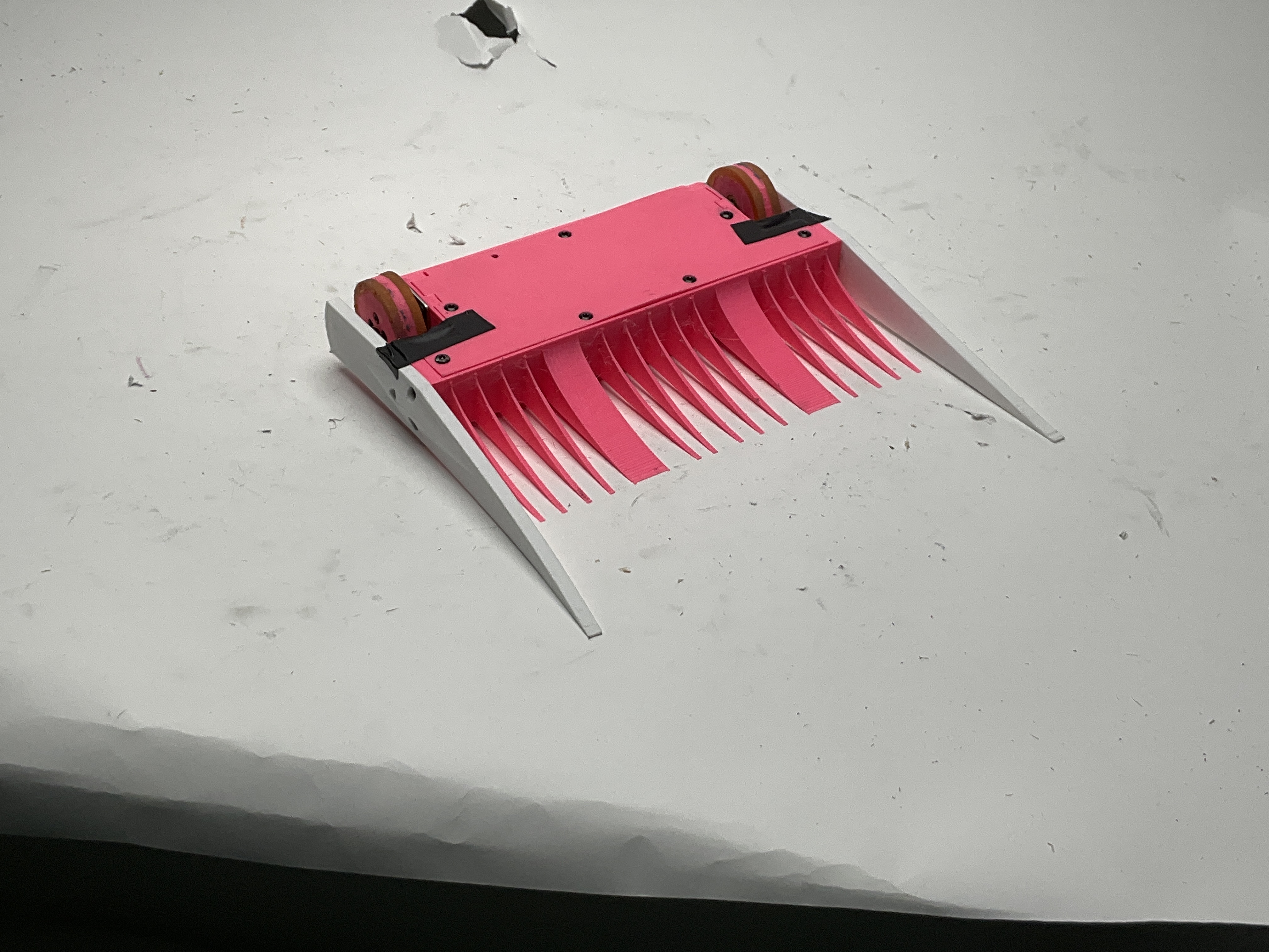 Flamingo (Ant) — entry photo, Apr 5, 2025