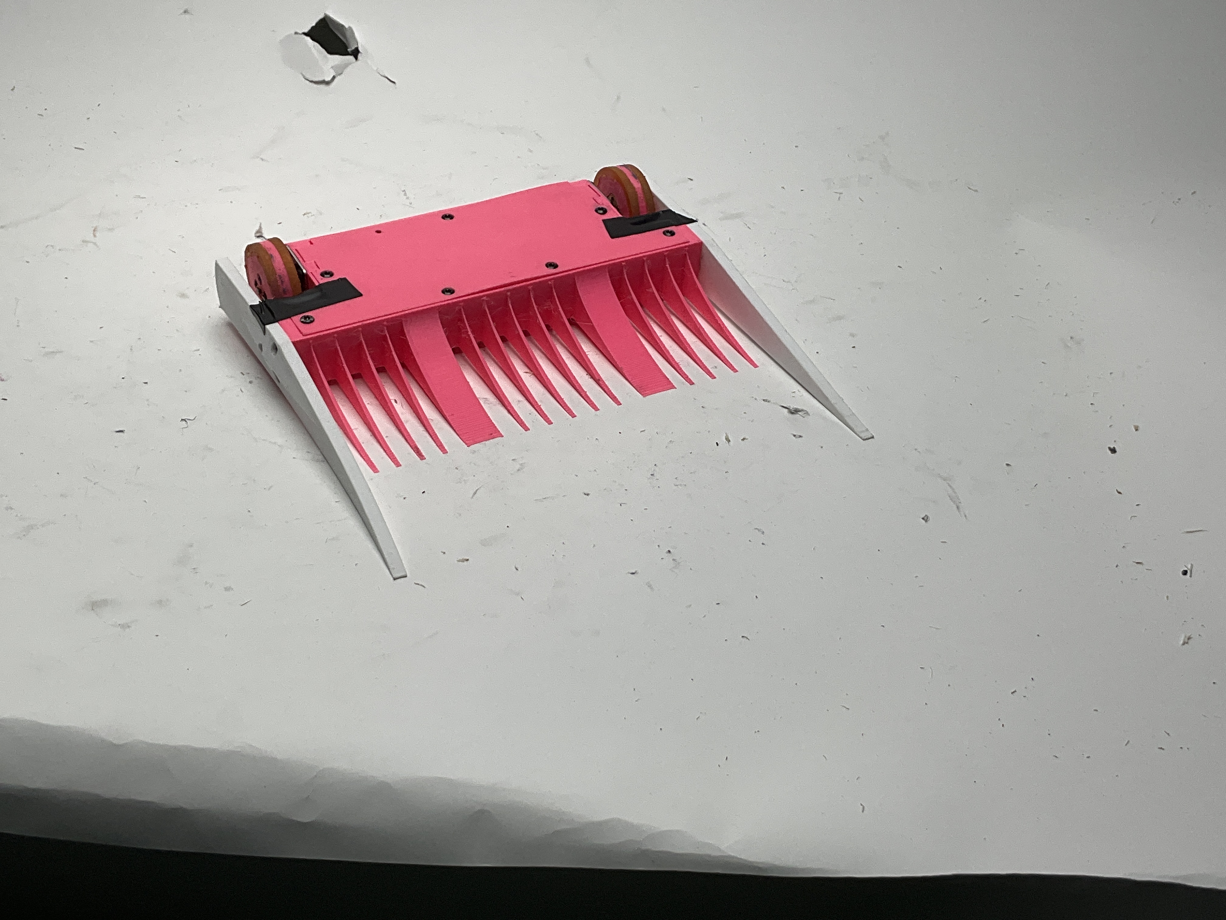 Flamingo (Ant) — entry photo, Apr 5, 2025