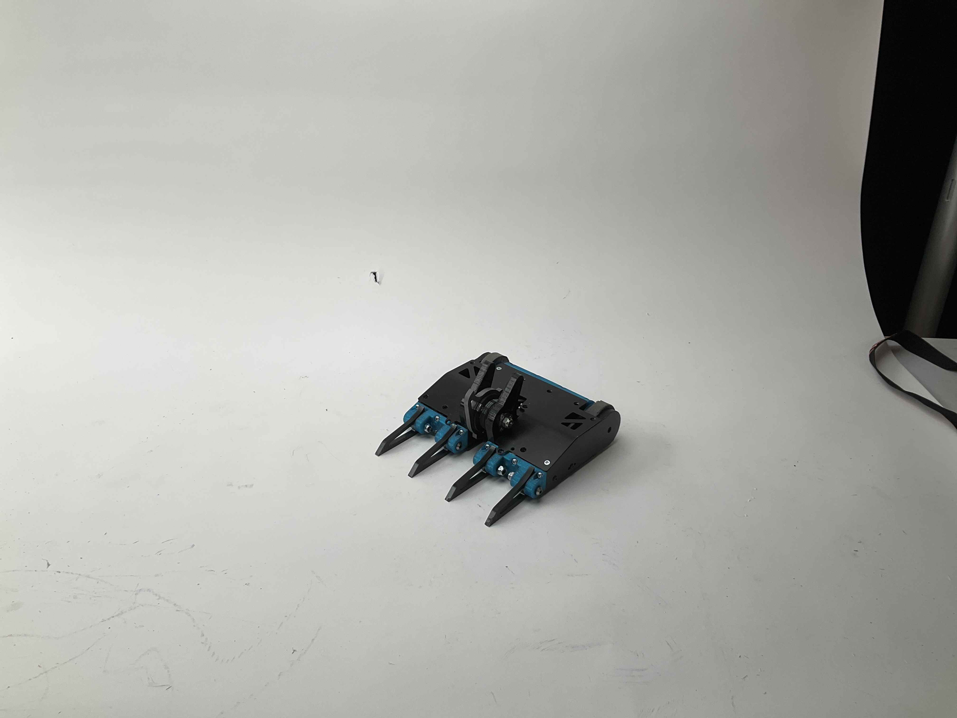FlashBang — entry photo, Jan 20, 2024