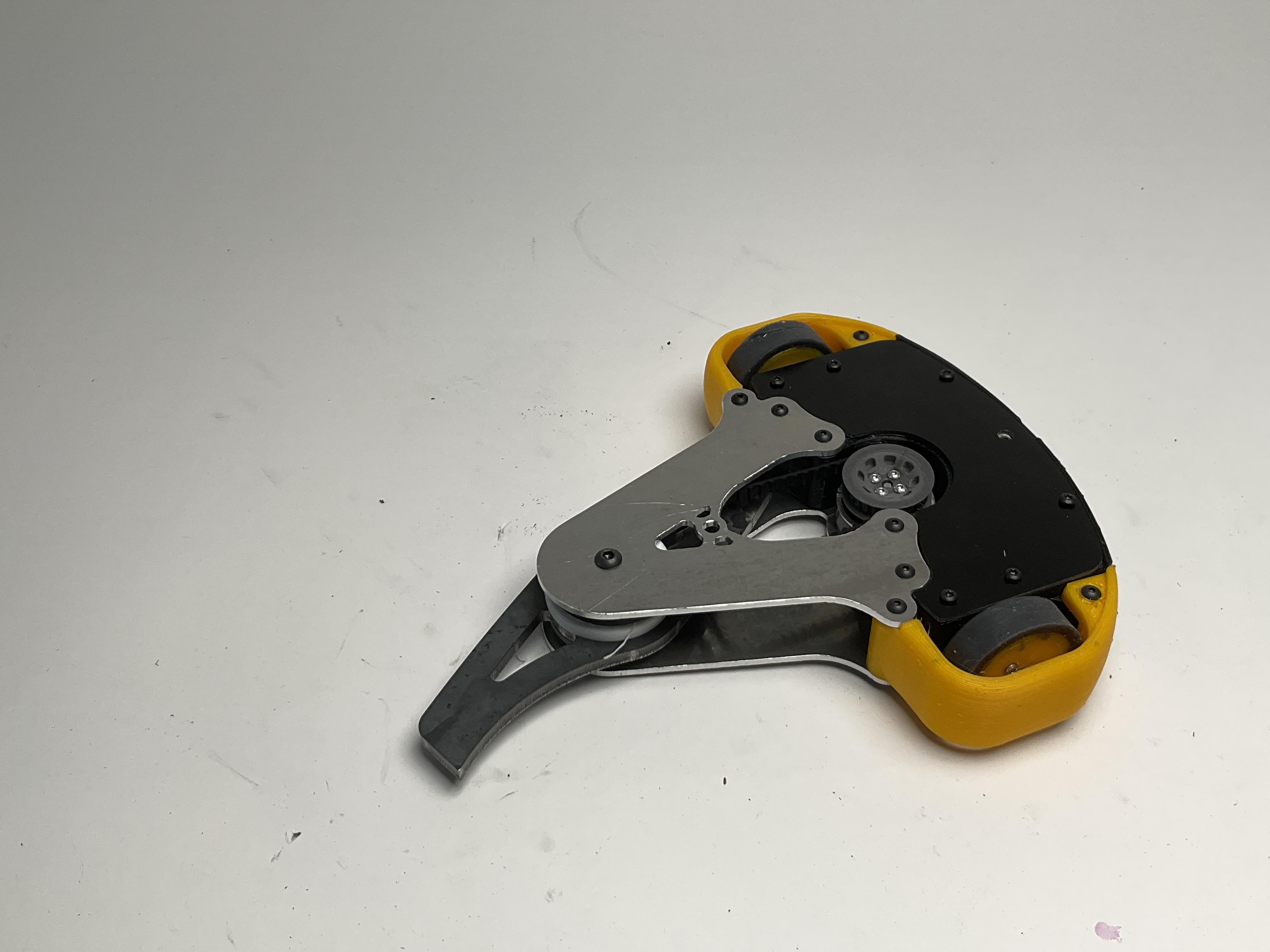Harvester Bee — entry photo, Jun 5, 2026