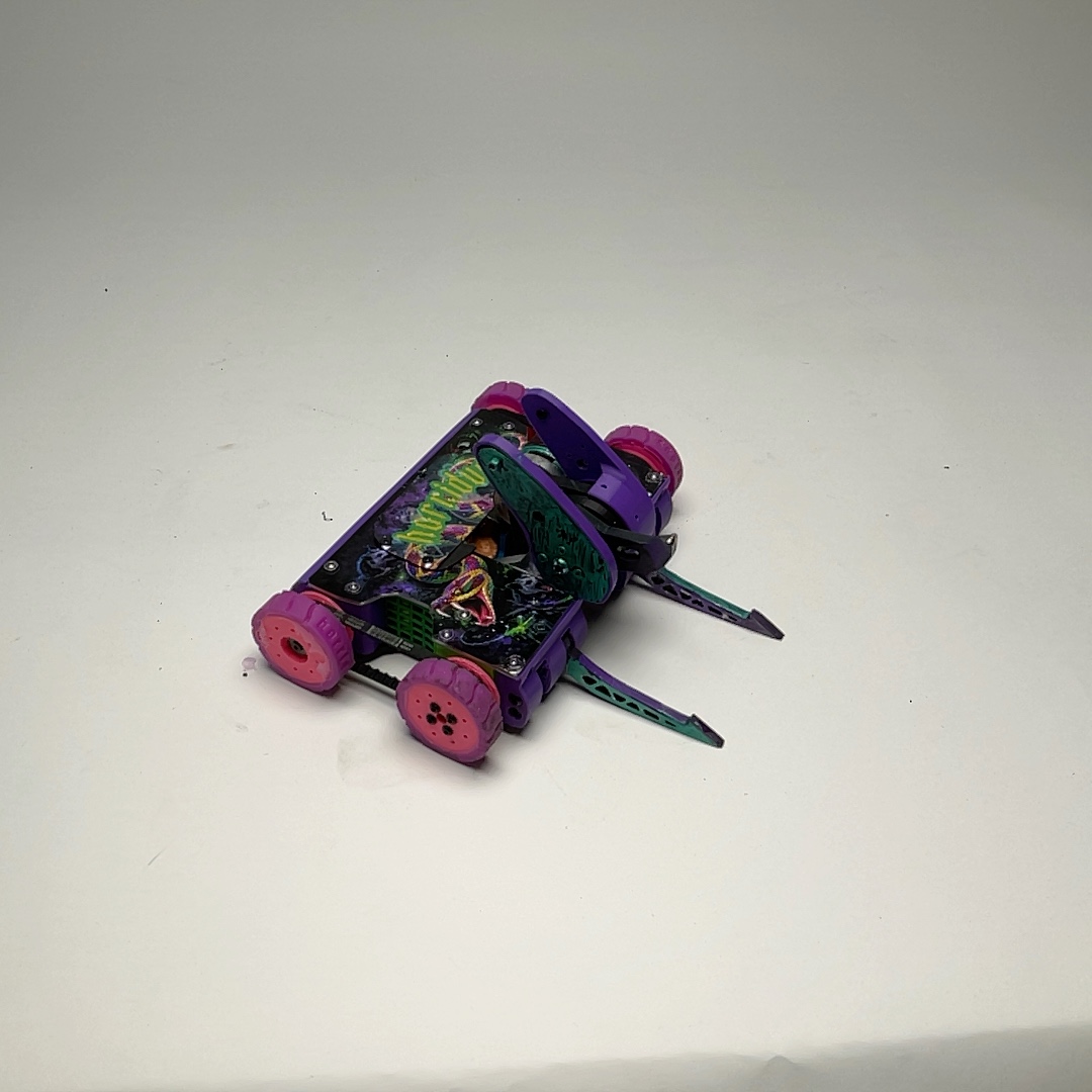 horridus — entry photo, Jun 5, 2026