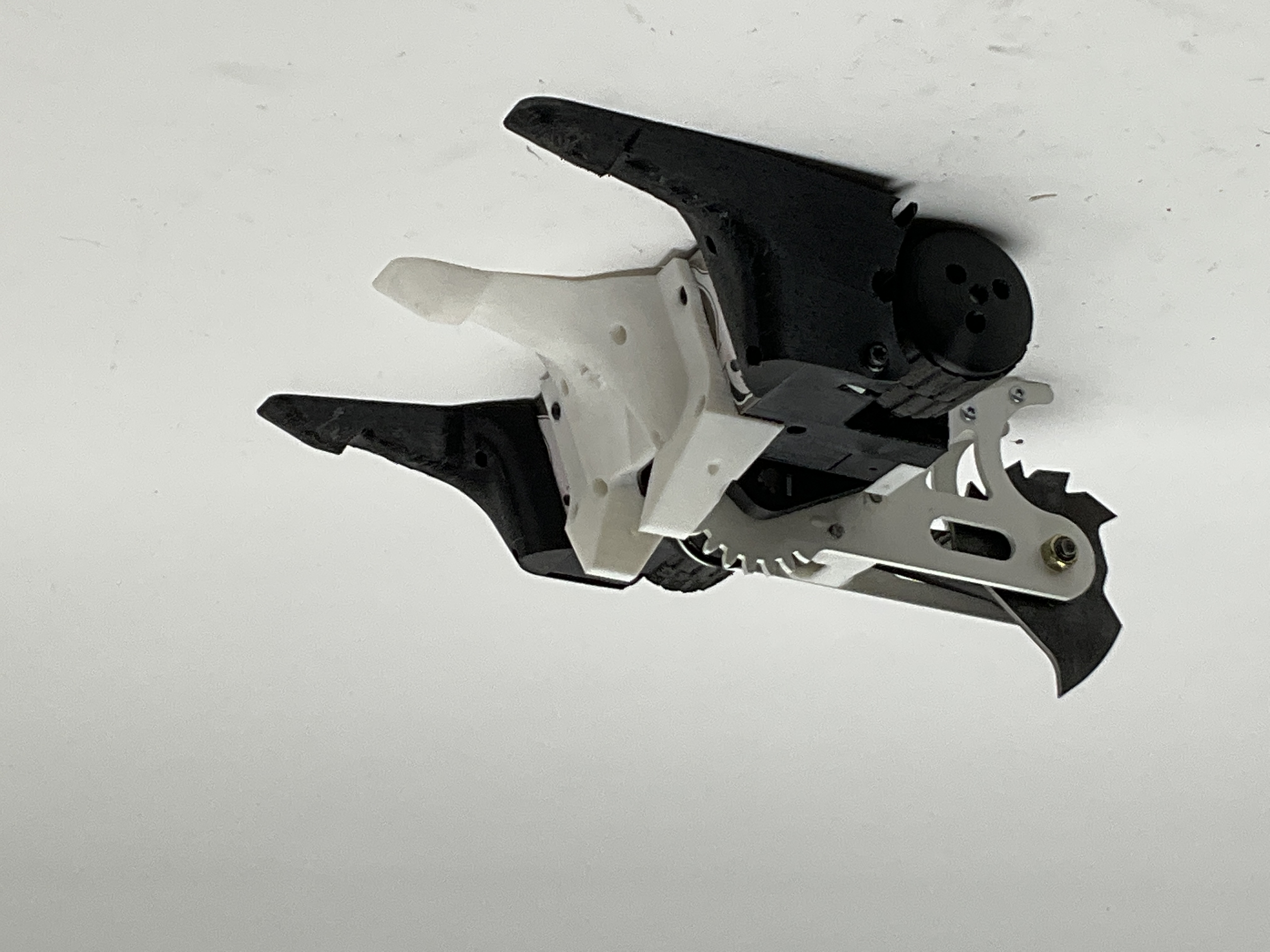 Iron Eater — entry photo, Sep 30, 2023