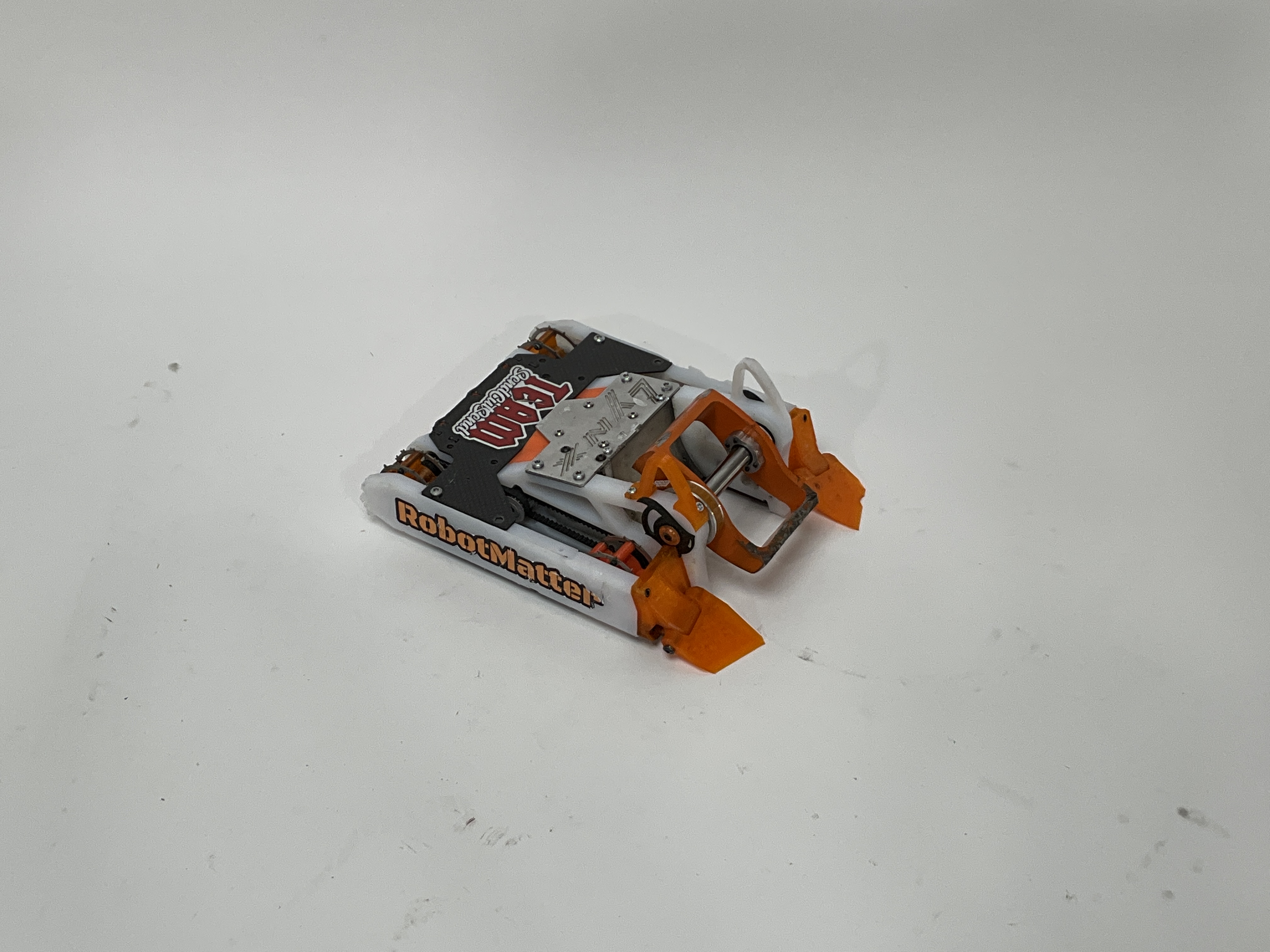 Lynx — entry photo, Aug 11, 2023