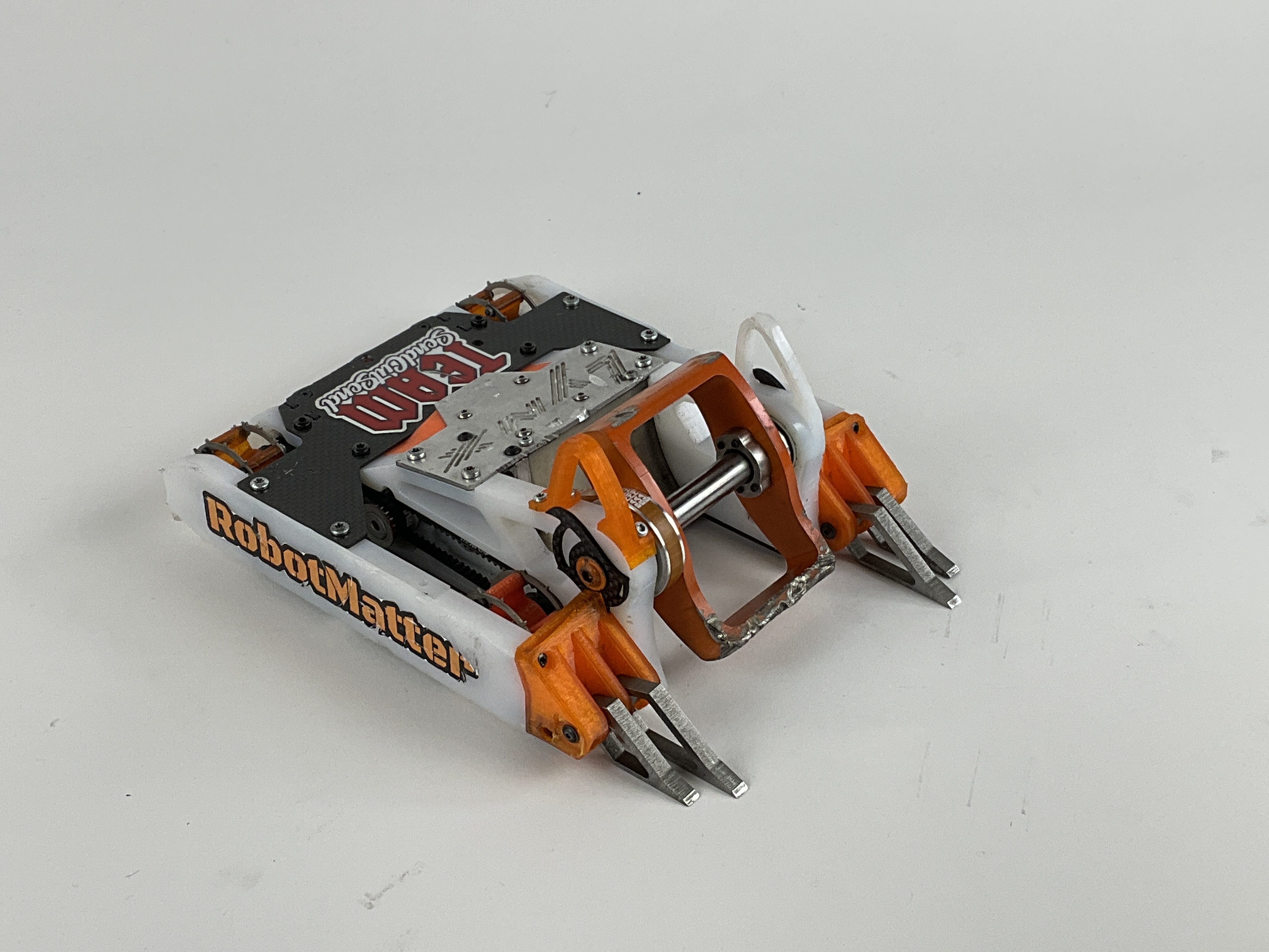 Lynx — entry photo, Sep 29, 2023