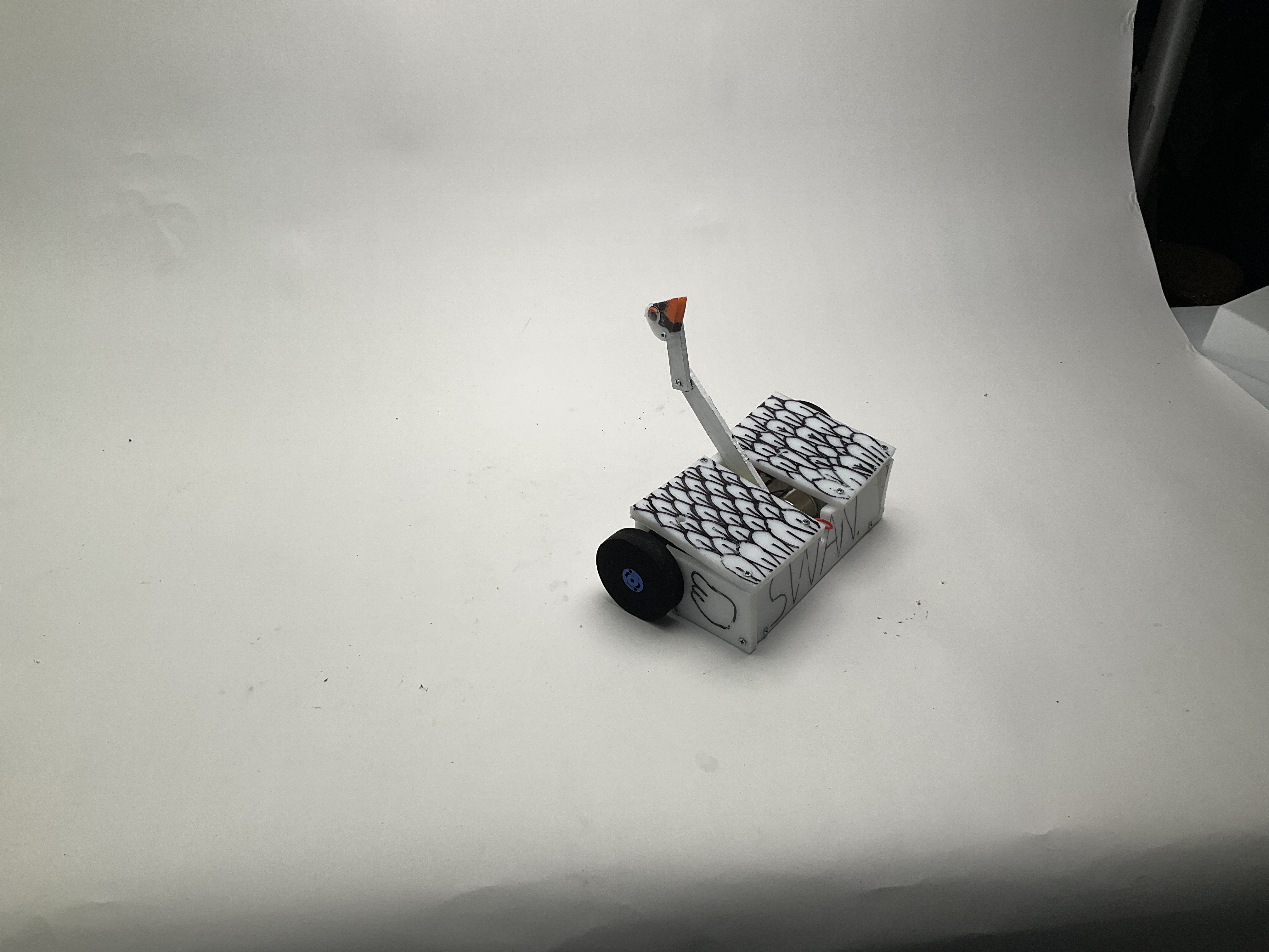 Meddlesome Swan II — entry photo, Sep 14, 2024