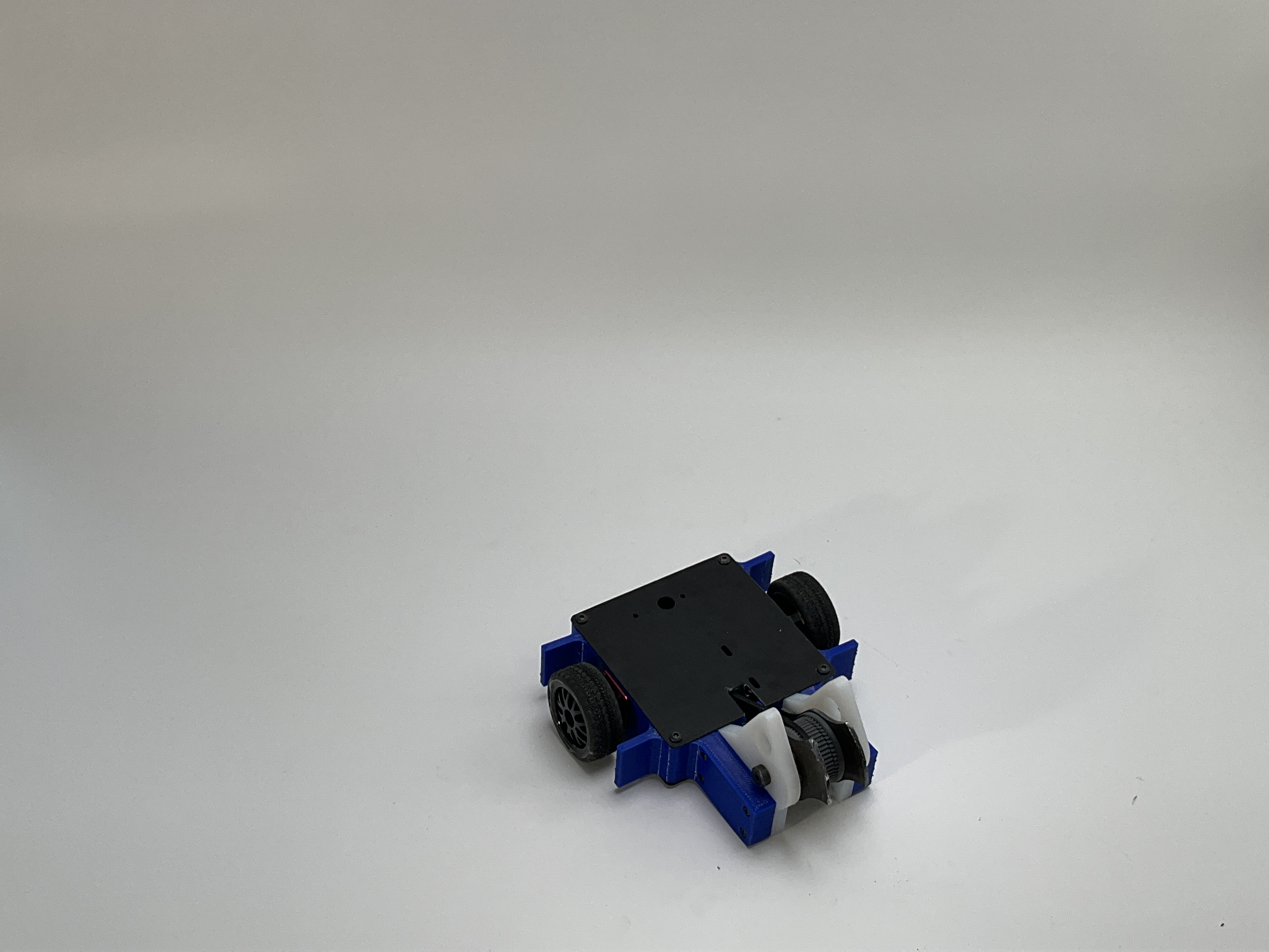 Osmia — entry photo, Aug 11, 2023