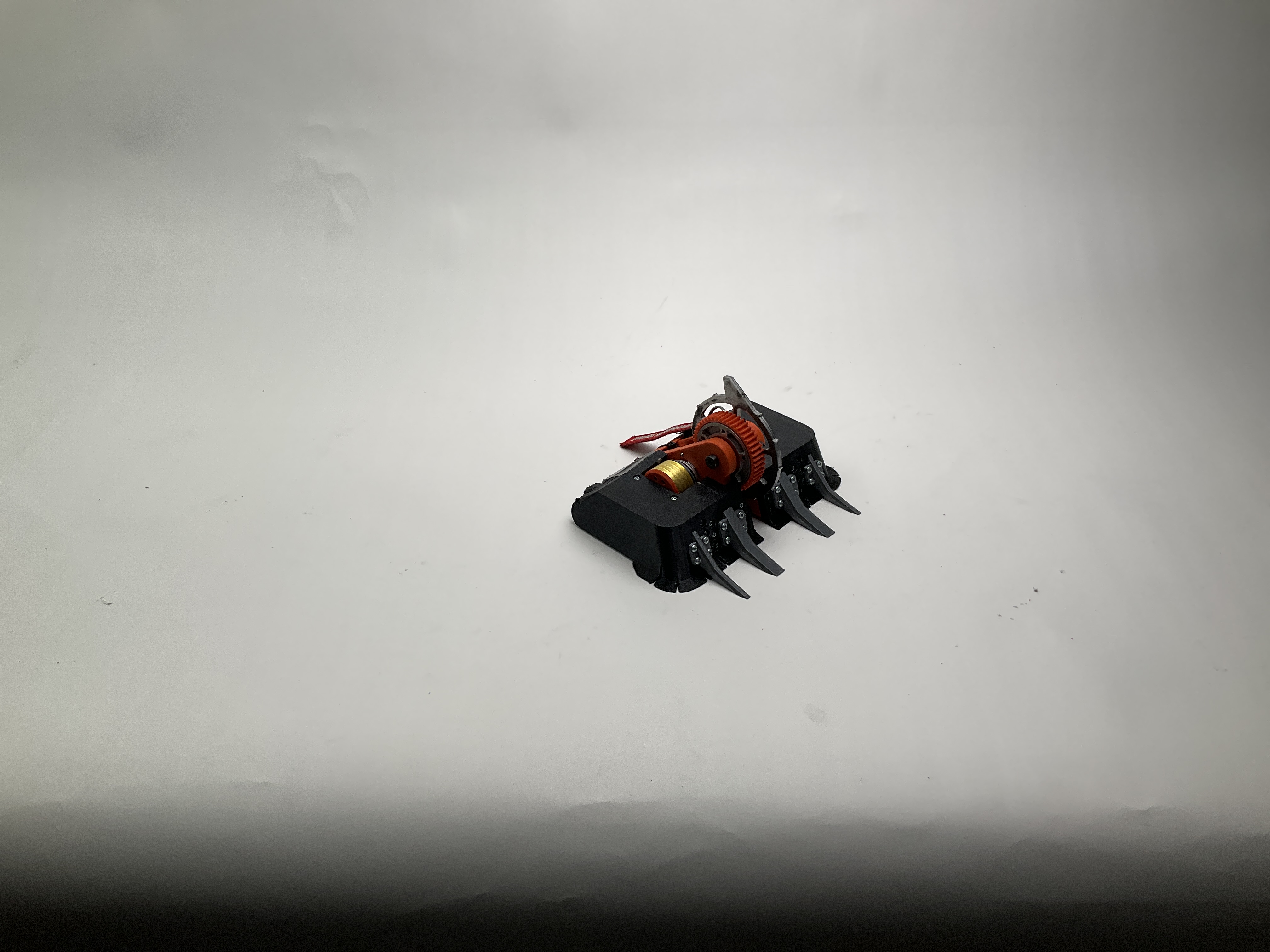 RAID-0 — entry photo, Sep 13, 2024