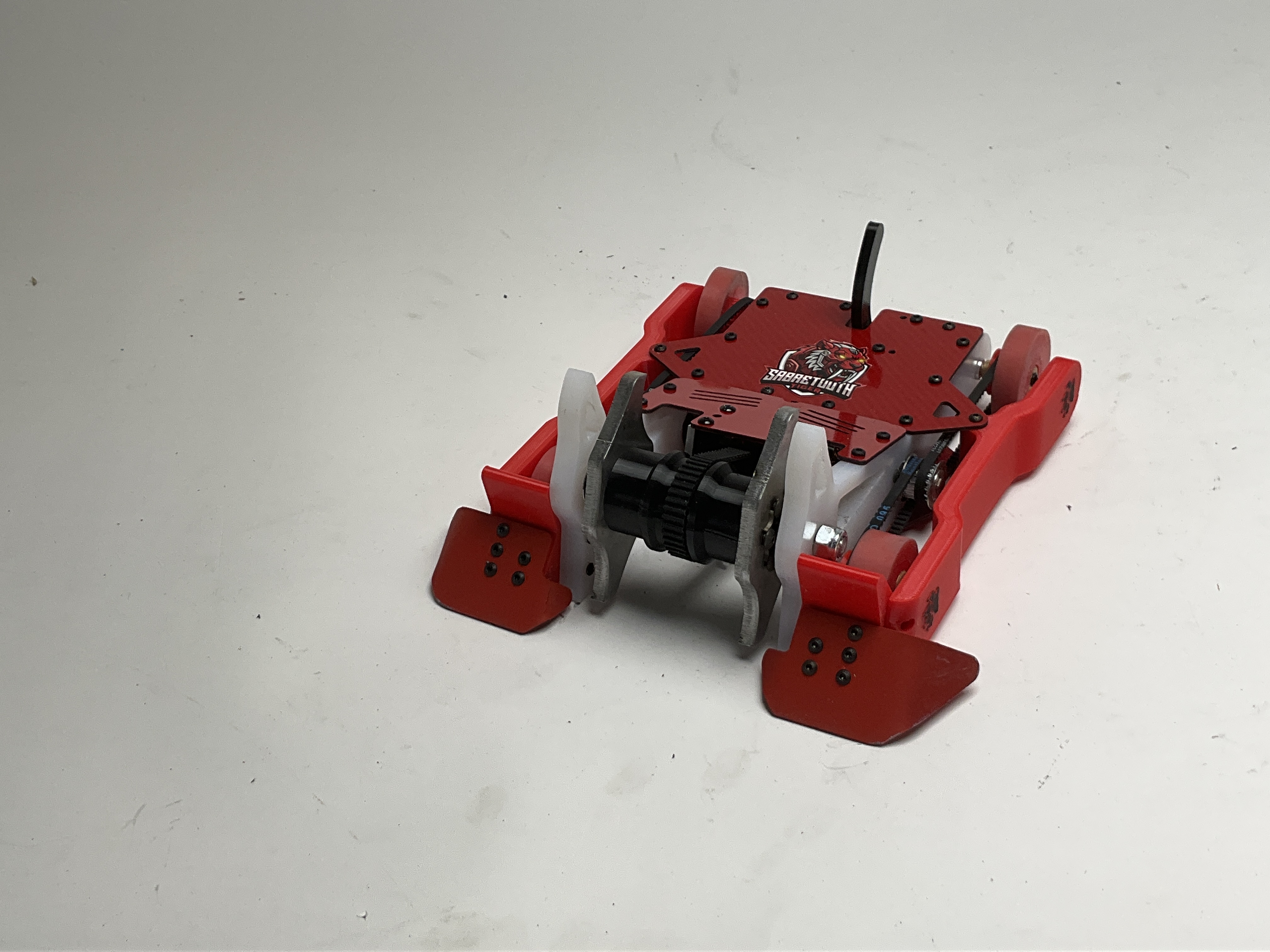 Sabretooth Tiger — entry photo, Jun 5, 2026