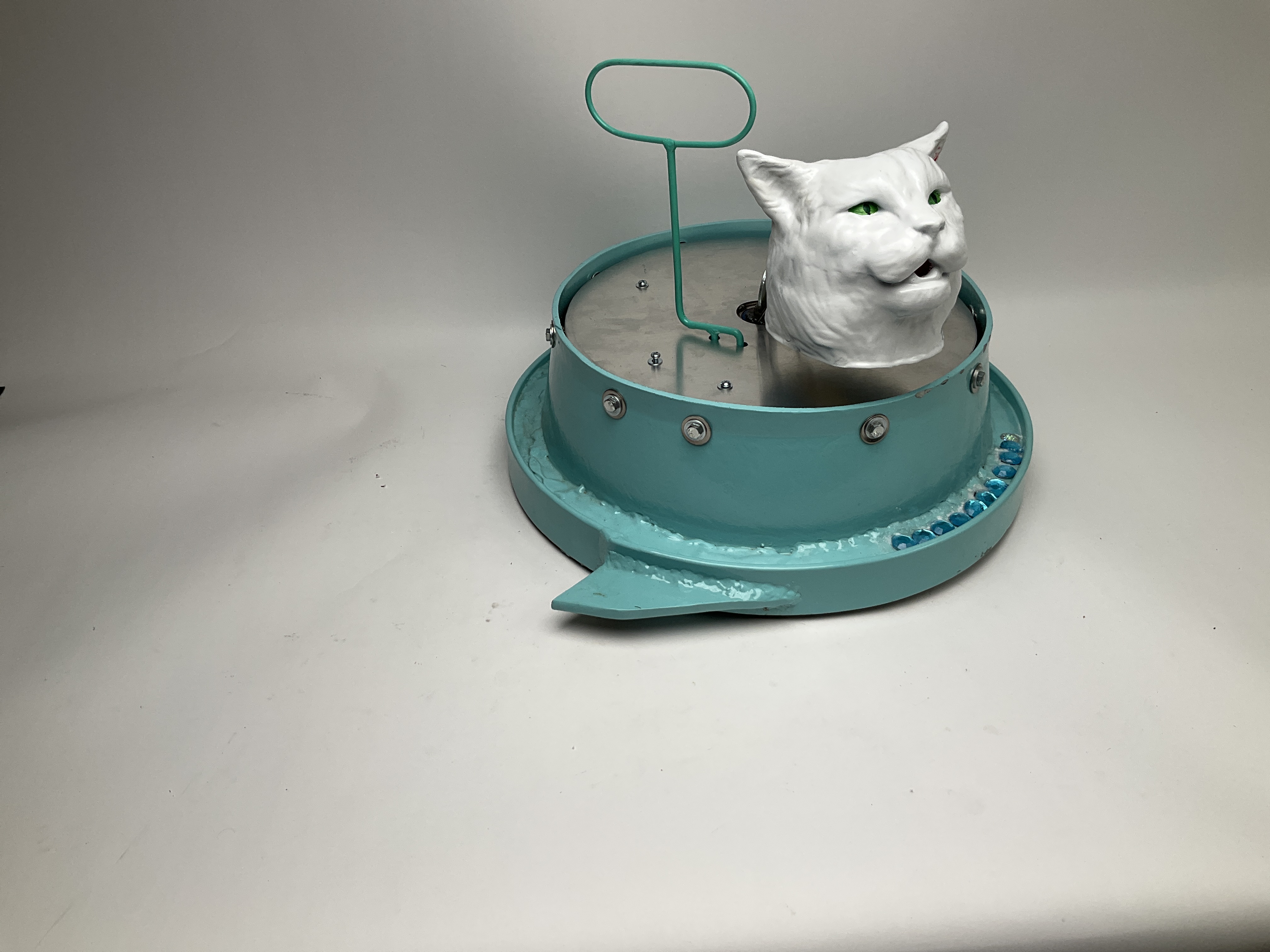 Salad Cat — entry photo, Jun 22, 2024