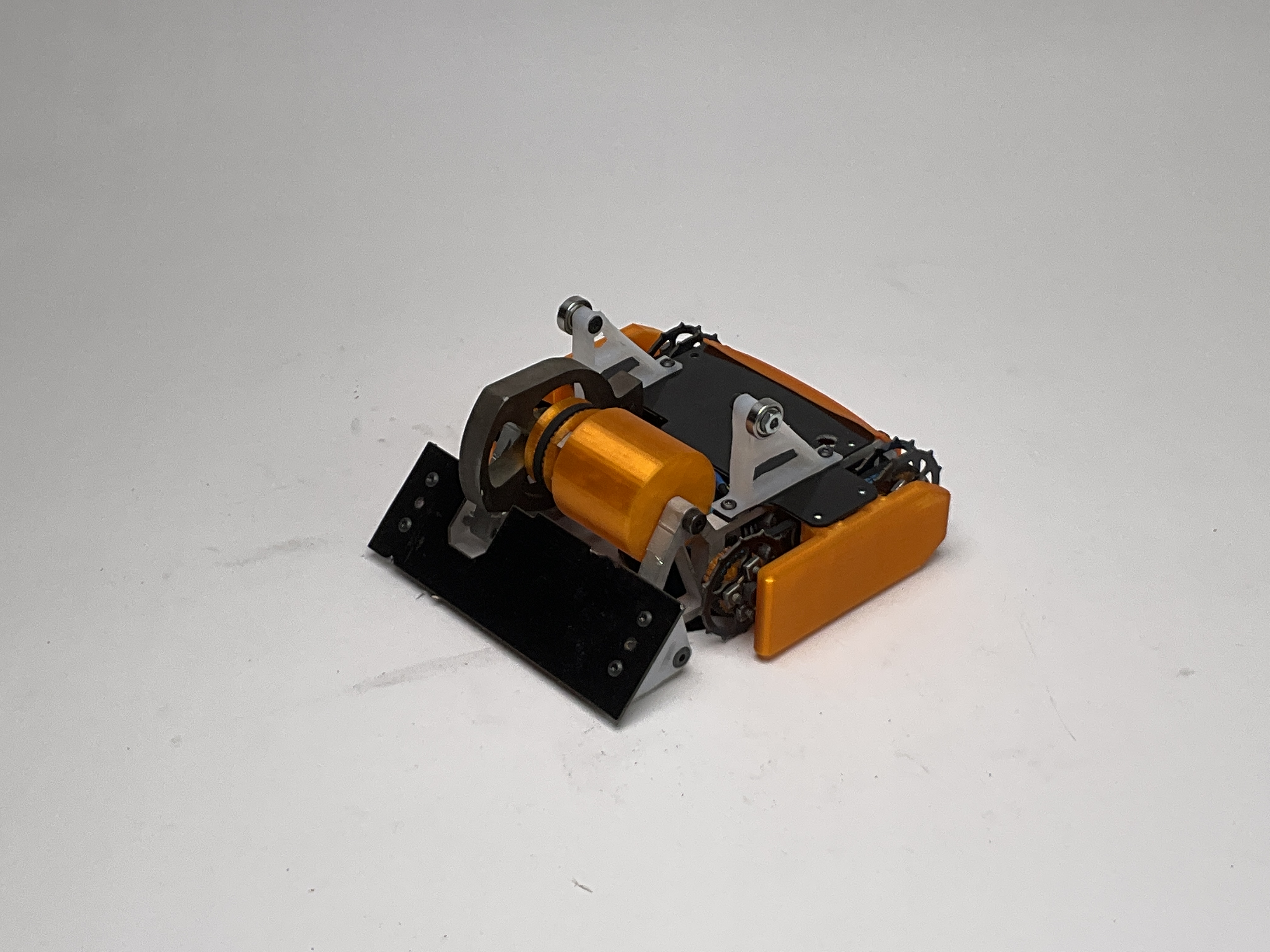 Skew — entry photo, Jun 21, 2024