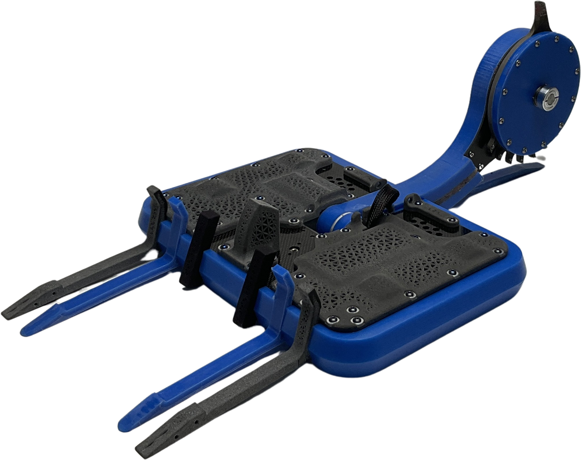 Skorpion