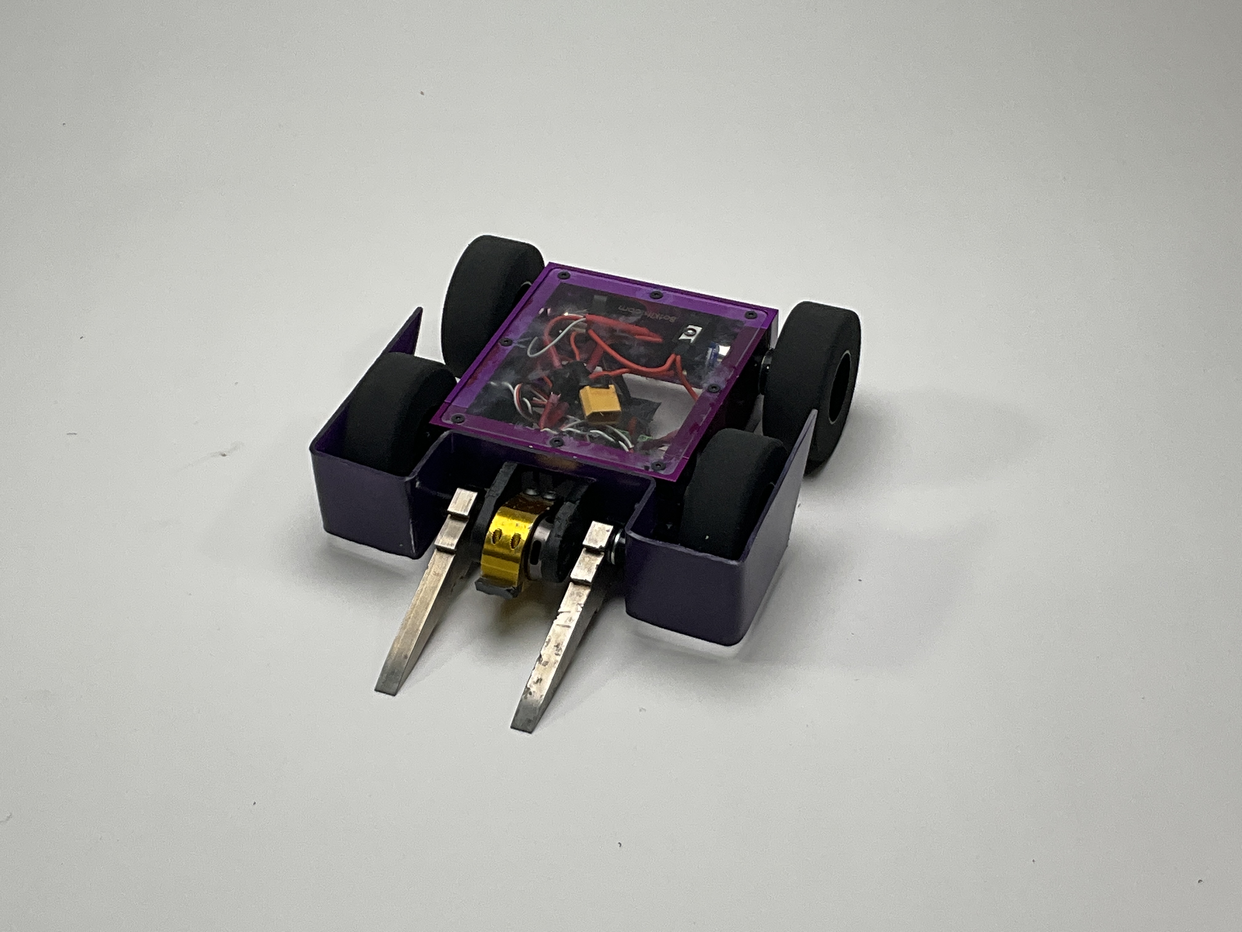 Stag Beetle bot — entry photo, Nov 11, 2022