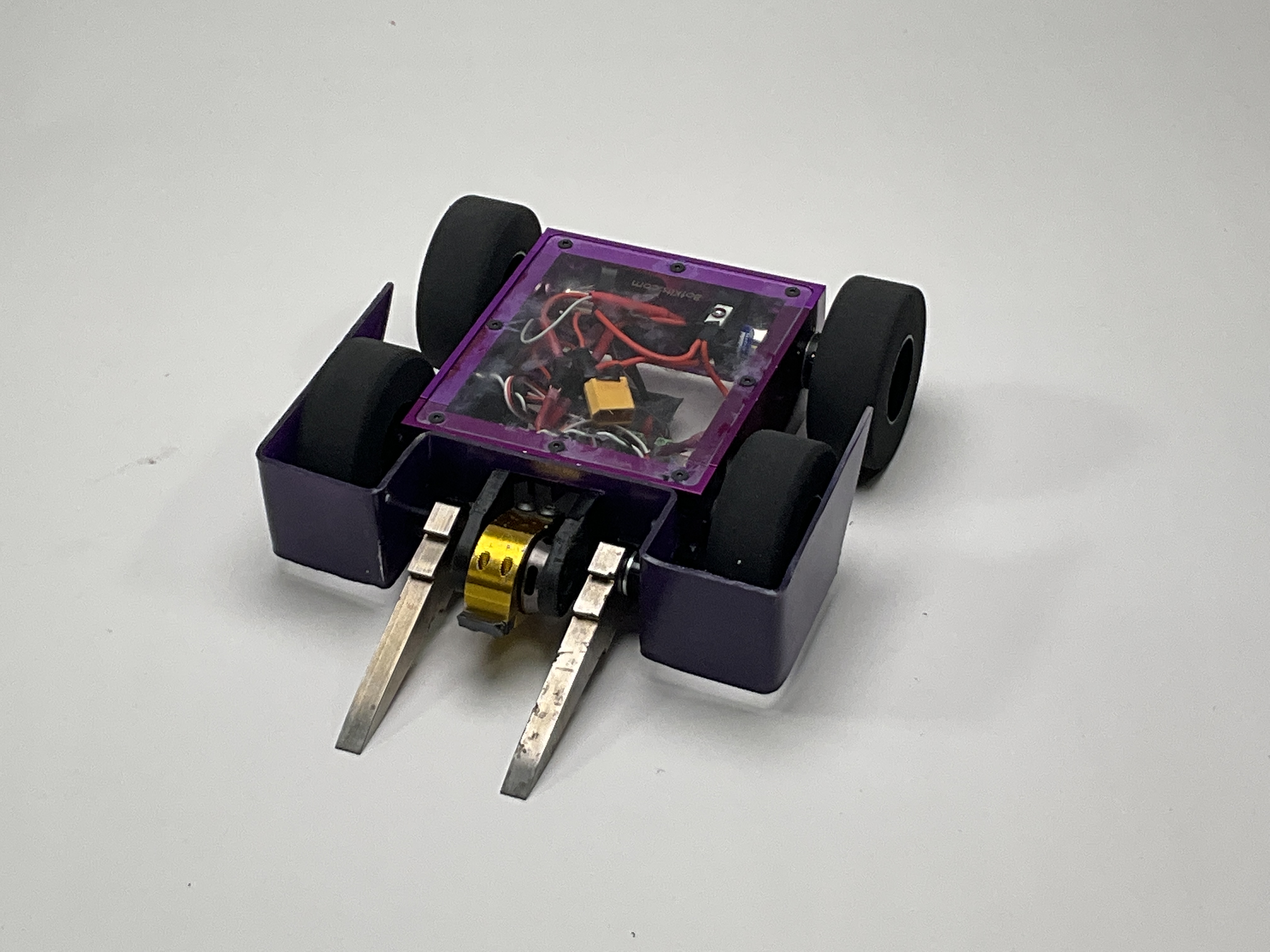 Stag Beetle bot — entry photo, Nov 11, 2022
