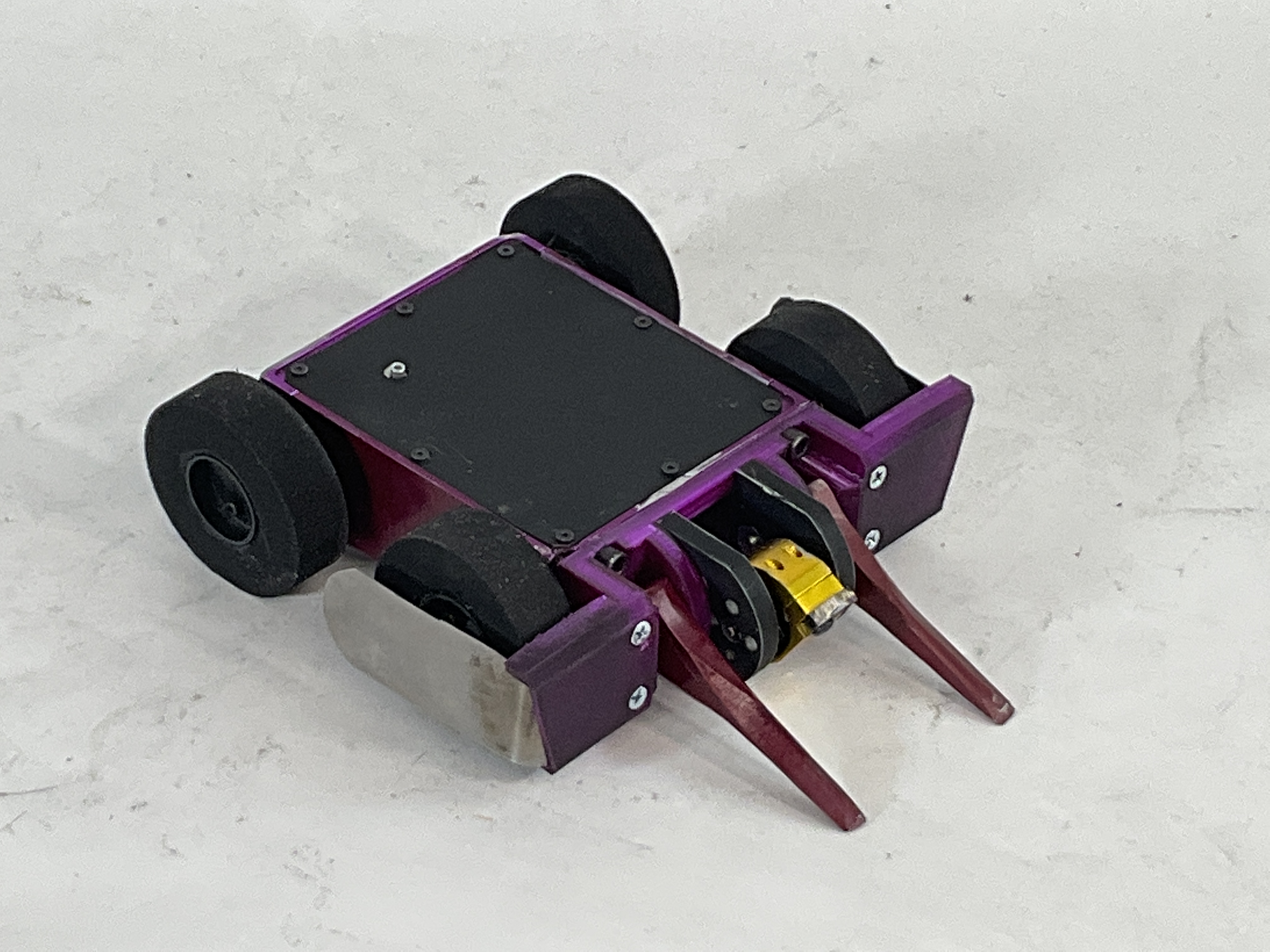Stag Beetle bot — entry photo, May 5, 2023