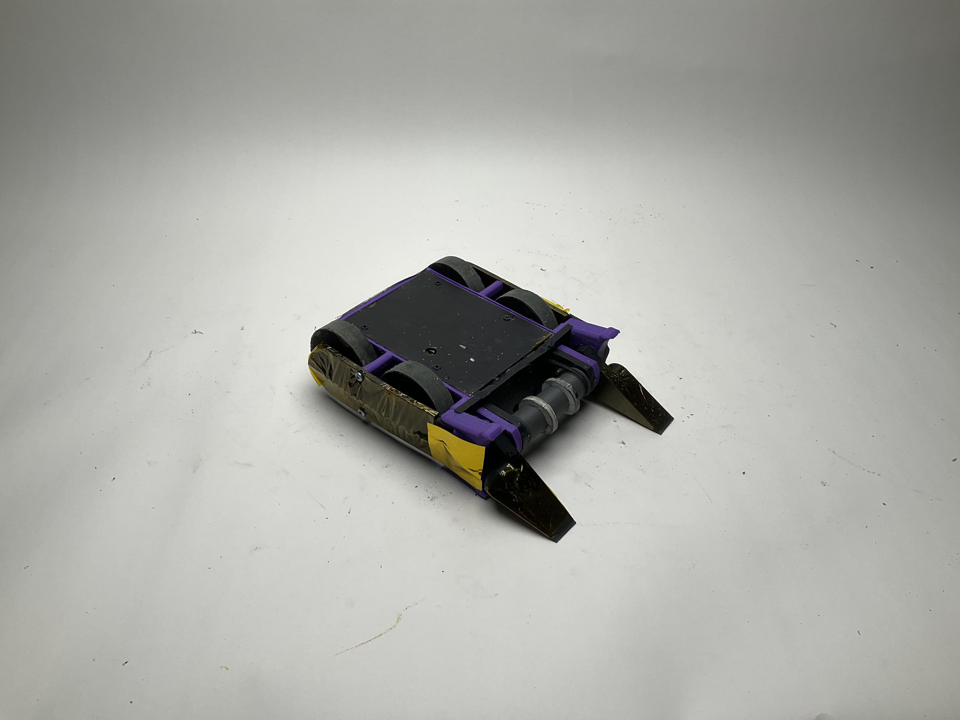 Stag Beetle bot — entry photo, Feb 1, 2025