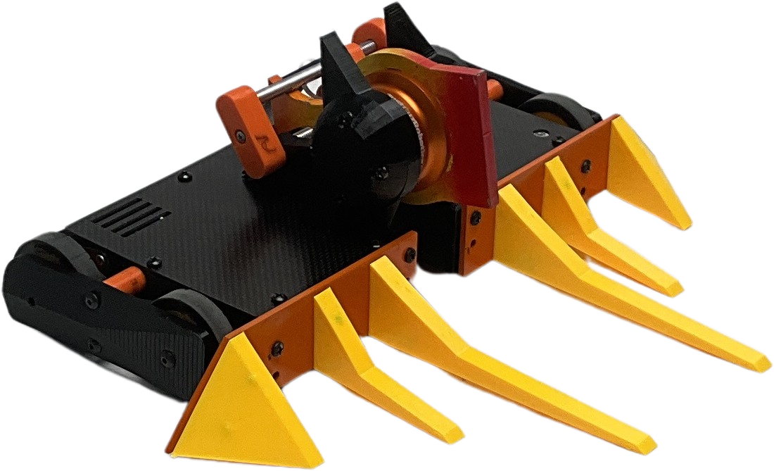 Toucan